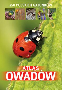 ebook Atlas owadów. 250 polskich gatunków