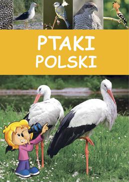 ebook Ptaki Polski