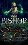 ebook Światła i Cienie - Anne Bishop