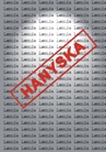 ebook Hanyska - Helena Buchner (Leonia)