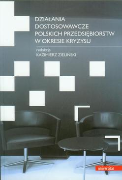 ebook Działania dostosowawcze polskich przedsiębiorstw w okresie kryzysu