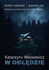 ebook W obłędzie - Katarzyna Wolwowicz