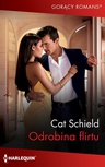 ebook Odrobina flirtu - Cat Schield