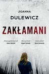 ebook Zakłamani - Joanna Dulewicz
