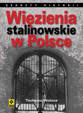 ebook Więzienia stalinowskie w Polsce. System, codzienność, represje