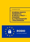 ebook Ochrona danych osobowych w miejscu pracy — Poradnik dla pracodawców i pracowników. - Schneider Piotr