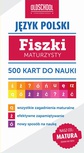 ebook Język polski. Fiszki maturzysty - Paweł Pokora,Izabela Galicka