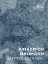 ebook Mitteleuropa - nowy porządek w sercu Europy - Friedrich Naumann