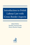 ebook Introduction to Polish Labour Law with Cross-Border Aspects - Jakub Stelina,Monika Tomaszewska,Marta Zbucka-Gargas