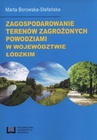 ebook Zagospodarowanie terenów zagrożonych powodziami w województwie łódzkim - Marta Borowska-Stefańska