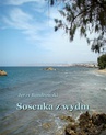 ebook Sosenka z wydm - Jerzy Bandrowski
