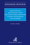 ebook Prawa społeczne pracowników a prawa pracodawców-przedsiębiorców na rynku wewnętrznym Unii Europejskiej - Joanna Ryszka