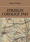 ebook Strzelin i okolice 1945 - Robert Primke