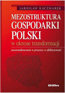 ebook Mezostruktura gospodarki Polski w okresie transformacji. Uwarunkowania, procesy, efektywność