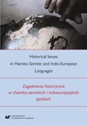 ebook Historical Issues in Hamito-Semitic and Indo-European languages. Zagadnienia historyczne w chamito-semickich i indoeuropejskich językach - 