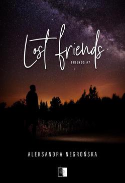 ebook Lost Friends