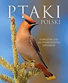 ebook Ptaki Polski - Dominik Marchowski