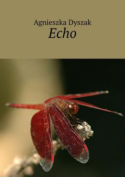 ebook Echo