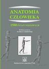 ebook Anatomia człowieka. 1500 pytań testowych - Florian Czerwiński