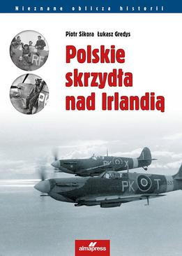 ebook Polskie skrzydła nad Irlandią
