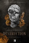ebook Destruction - Amelia Śnieżewska