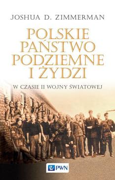 ebook Polskie Państwo Podziemne i Żydzi