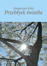 ebook Przebłysk światła - Małgorzata Polit