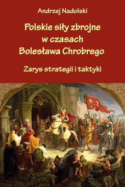 ebook Polskie siły zbrojne w czasach Bolesława Chrobrego. Zarys strategii i taktyki