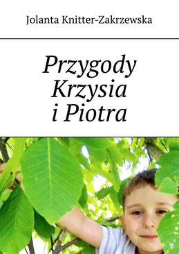 ebook Przygody Krzysia i Piotra