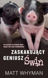 ebook Zaskakujący geniusz świń - Matt Whyman