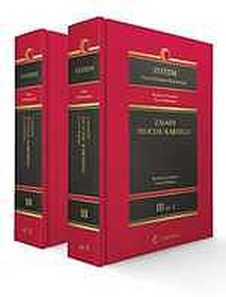 Okładka:System Prawa Karnego Procesowego. Tom III. Zasady procesu karnego. Vol. 1 i Vol. 2 