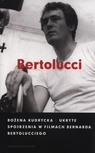 ebook Ukryte spojrzenia w filmach Bernarda Bertolucciego - Bożena Kudrycka