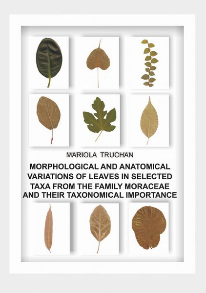 Okładka:MORPHOLOGICAL AND ANATOMICAL VARIATIONS OF LEAVES IN SELECTED TAXA FROM THE FAMILY MORACEAE AND THEIR TAXONOMICAL IMPORTANCE 