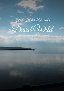 ebook David Wild