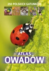 ebook Atlas owadów - Kamila Twardowska