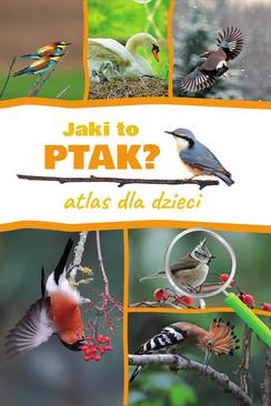 ebook Jaki to ptak? Atlas dla dzieci