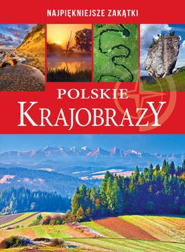 ebook Polskie krajobrazy