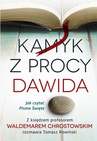 ebook Kamyk z procy Dawida. Jak czytać Pismo Święte - Tomasz Rowiński,ks. Waldemar Chrostowski
