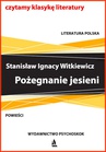 ebook Pożegnanie jesieni - Stanisław Ignacy Witkiewicz