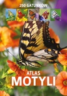 ebook Atlas motyli - Kamila Twardowska