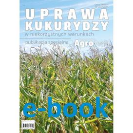 ebook Uprawa kukurydzy w niekorzystnych warunkach