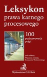ebook Leksykon prawa karnego procesowego 100 podstawowych pojęć - Krzysztof Woźniewski,Wojciech Cieślak