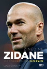 ebook Zinedine Zidane. Sto dziesięć minut, całe życie. Wyd. II - Luca Caioli