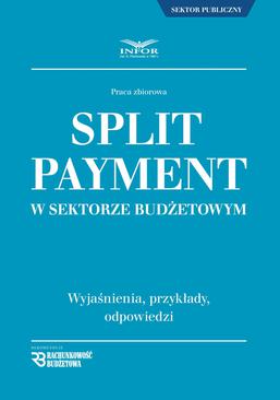 ebook Split payment w sektorze budżetowym