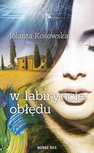 ebook W labiryncie obłędu - Jolanta Kosowska