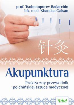 ebook Akupunktura. Praktyczny przewodnik po chińskiej sztuce medycznej