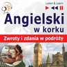 ebook Angielski w korku. Zwroty i zdania w podróży - Dorota Guzik