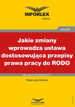 ebook Jakie zmiany wprowadza ustawa dostosowująca przepisy prawa pracy do RODO