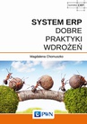 ebook System ERP - Dobre praktyki wdrożeń - Magdalena Chomuszko