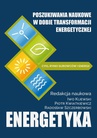 ebook Poszukiwania naukowe w dobie transformacji energetycznej - 